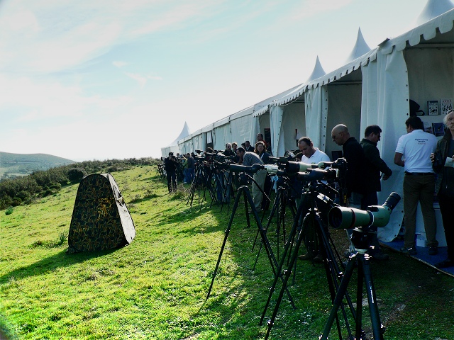 FIO - Extremadura Birdwatching Fair at Monfrague