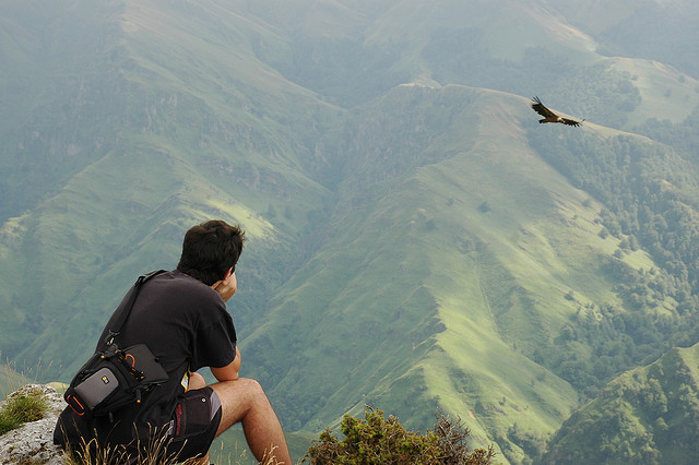Birding at Pyrenees. Birds and beautiful landscapes